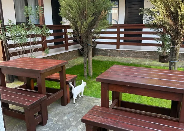 Casa Florenta Pensión 3*