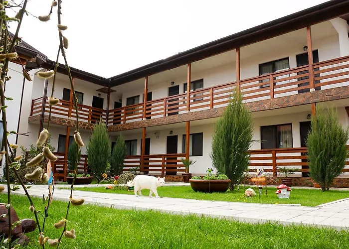 Pensión Casa Florenta Venus